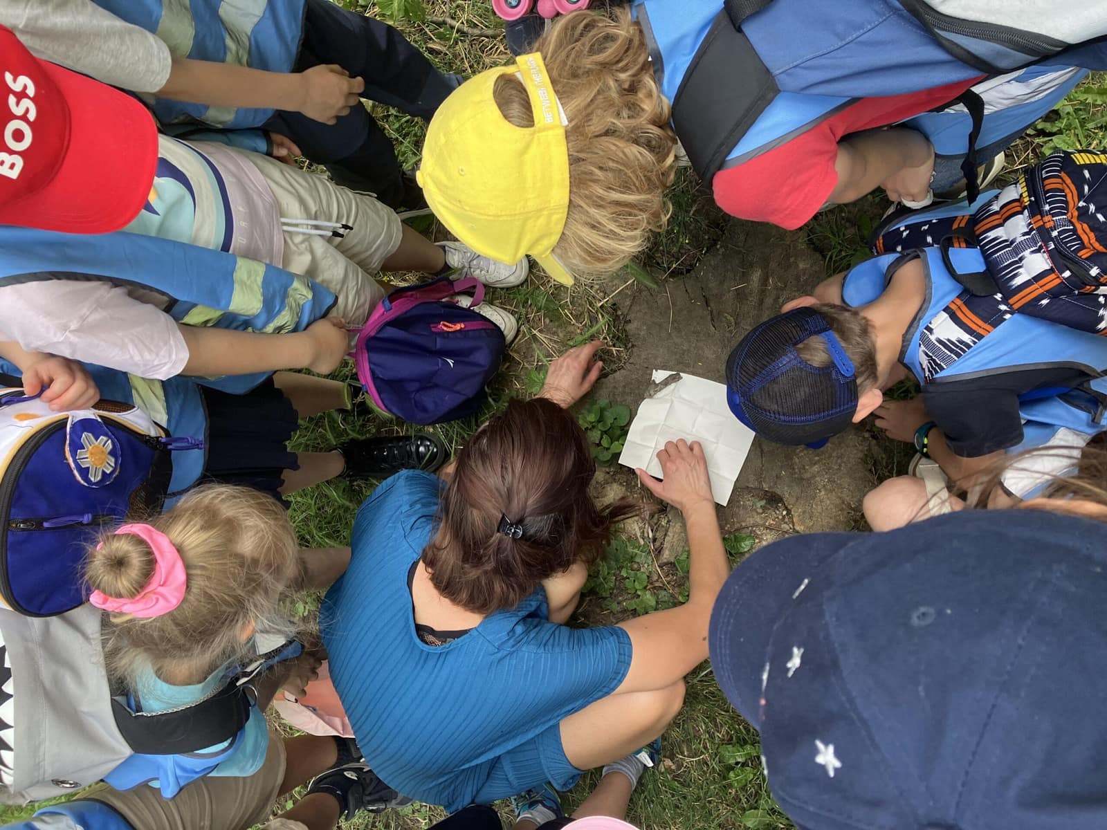 Sortie au bois des Essarts