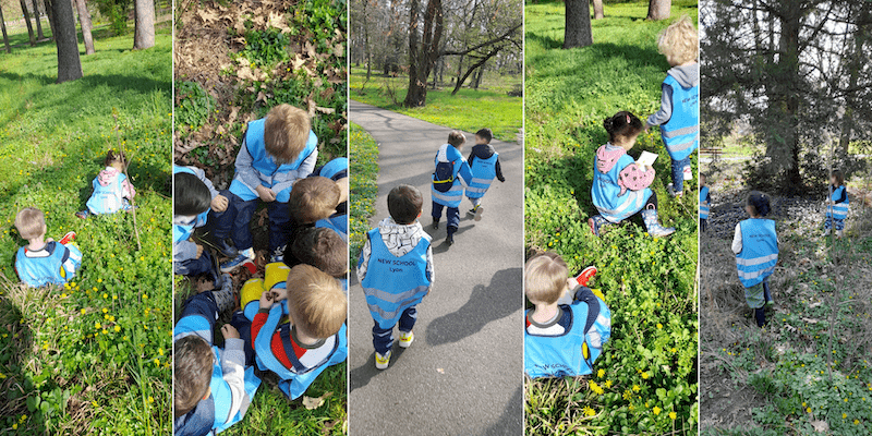 Sortie au bois des Essarts